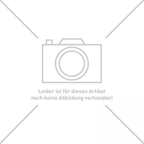 EdilKamin E683010 Förderschnecke 150 cm