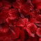 RUIYWEN 1000 Pezzi di Petali di Rosa in Seta Artificiale Rossa per San Valentino, Fiori per Matrimoni, Coriandoli, Spargimento da Tavola