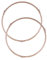 Beaupretty Mikrowelle Drehring Universal 22cm Durchmesser: 1, 4cm Rad Plattenspieler Ring 2 Stücke Drehteller Halter Mikrowellenzubehör Ersatzteile