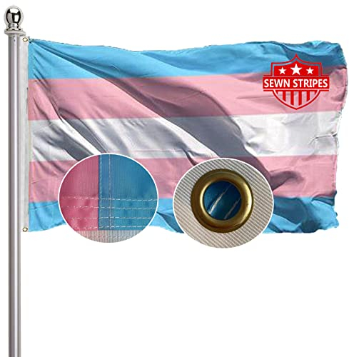 Transgender-Pride-Flagge, 7,6 x 12,7 cm, Outdoor-Trans-Flagge, Progress Pride, genähte Streifen, lebendige Farben, strapazierfähige Polyester-Flaggen mit 2 Messingösen