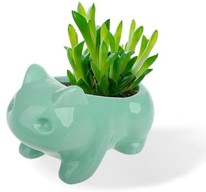 Rana Cactus Pianta Vaso Fiori Giardino Vaso Ceramica Per Piantine Grasse Creative Cartoon Frog Mini Piccoli Vasi Da Fiori Per Interni,Per Desktop,Cucina,Decorazione Della Casa Del Patio(11×7 Cm)
