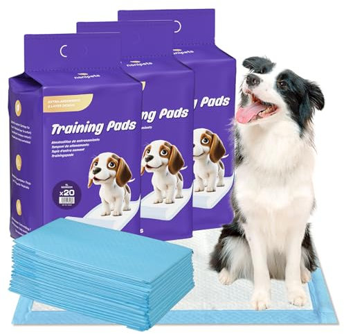 Nanipets® Trainingspad für Hunde Welpenunterlagen, Superabsorbierendes & Auslaufsichere Wickelunterlagen, 60 x 90 cm Extra Große, Dicke Pet Pads, 60 Stück