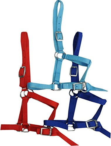 Reitsport Amesbichler Halfter für Minishetty Minipony Fohlen, Holzpferd rot Fohlenhalfter Shetty Halfter Nylon mit kurzer Führleine