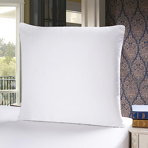 townssilk Seidenkissenbezug 40x40cm – 100% Maulbeerseide, 19mm, beidseitig Seide, Oeko-TEX Zertifiziert, Güteklasse 6A, mit Reißverschluss, 1 Stück,Weiß