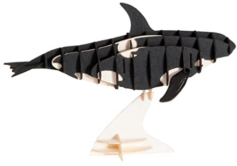 Fridolin 11634 3D-Papiermodell - Orca