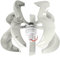 Eujgoov Windturbine Generator Kit 600W 5 Blätter Vertikalachsen Generator Weiß Wind-Solar Hybrid Stromerzeugungssystem (12V)