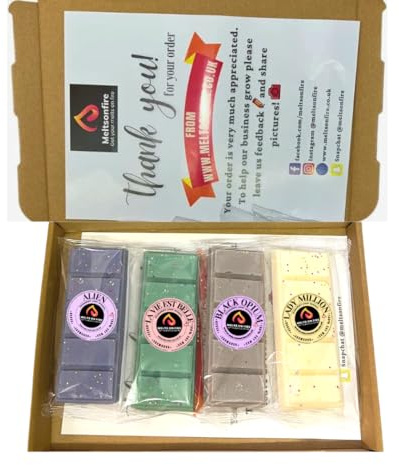 Wax Melts – Lot de 4 barrettes à clipser – Parfum (Alien, Lady One Million, La Vie est Belle, Black Opium – Cire de soja parfumée végétalienne