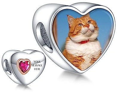 Annmors 925 Sterling Silber Charm Personalisierte Foto Anhänger fit Armband Halskette Maßgeschneiderte Herzform Heart Bild Perle Frauen Mädchen Katzen Hunde Baby Familie