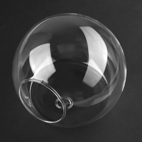 DOITOOL 4 Stück Teiliges Wandglas Terrarium Runde Glasvasen zur Pflanzenvermehrung Platzsparend Glänzend Dekorativ für Sukkulenten Orchideen und Raumgestaltung