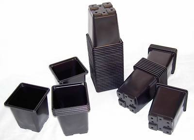 Elixir Gardens ® Square Plant Pot Recycled Plastic Plant Pots 11cm x 11cm x 12cm | x 25