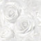 Muriva Madison Rose Glitter Fond D'écran pour Salon, Boutique, TV, Chambre, Couloir, Décoration - Moderne Design Graphique Decoratif Papier Peint avec roses photographiques avec des détails pailletés