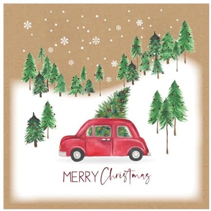 Eurowrap Assorted Christmas Cards Xmas Driving Home, 2 Designs Merry Christmas and Seasons Greetings - Eco Pack of 12