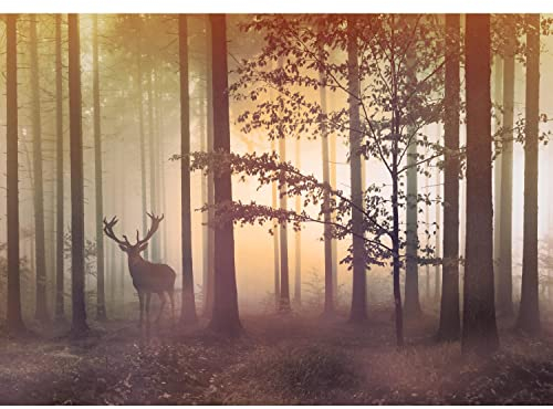 Runa Art Fototapete Wald Hirsch Nebel 352 x 250 cm Vlies Tapeten XXL Moderne Wandtapete Wohnzimmer Schlafzimmer Gelb Braun 9338011c