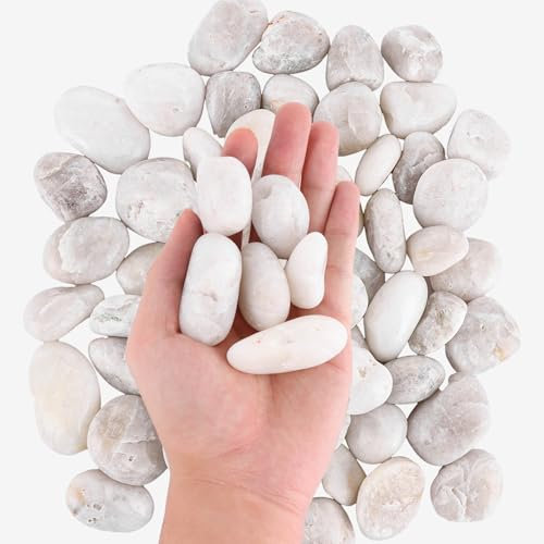 ASelected 4.2 Lb Small White Pebbles,20 To 30 Mm Decorative Stones For Plant Pots,Natural Polished Pebbles For Plant Pots,River Rocks,Landscaping,Vase Fillers,Succulents,Aquarium And Garden Decoration