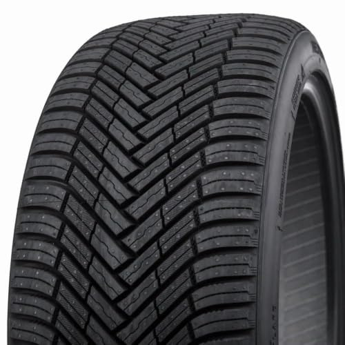 Nexen 195/55 R16 91H Ganzjahresreifen Allwetter M+S 3PMSF Reifen