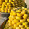 semi di fico resistenti - piantare frutti frutti esotici frutto colonnare resistente fiori da giardino piante rare alberi da frutto nani piante in vaso resistenti sempreverdi fiori per 20pcs