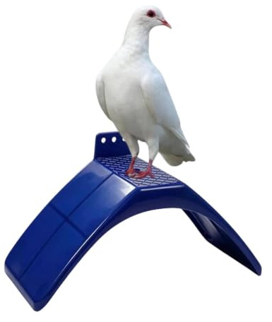 Pigeon Perch Safe Comfortable Easy To Install