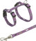 Trixie 4144 Kätzchengeschirr mit Leine, Nylon, 21–33 cm/8 mm, 1,20 m, farblich sortiert,1 Stück