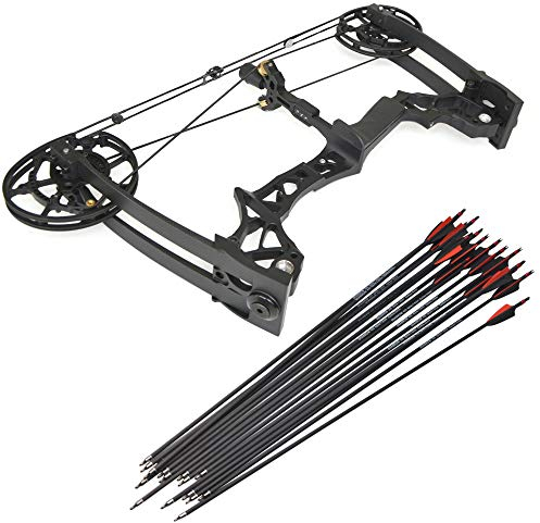 MILAEM Bogenschießen Compoundbogen und Pfeil Set Stahl Ball Jagdbogen Bogenfischen Jagd Sportbogen Außenaufnahmen 40-60lbs Einstellbar Erwachsener Bogen (Schwarz)
