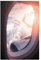 Bilderwelten Glasbild - Jonas Loose - Flugzeug mit Quallen 45 x 30cm