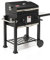 Fork Barbecue Durango