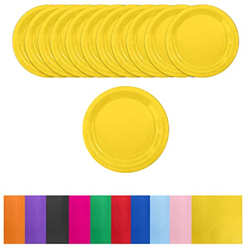 Aisszhao 16pcs Yellow Paper Plates 9 Inch Solid Color Plates, Disposable Tableware Birthday Decorations for Him, Her, Men, Women, Adults Tea Party, Kids Party (AZCSCJ0308)