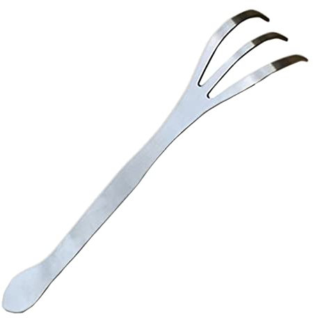 QUINTRA Edelstahl-Dual-Purpose-Erdpressegge lockert den Bodendruck im Garten, Gartentopf und Werkzeuge Trauerstrauß (Silver, One Size)