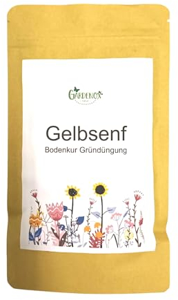 Gelbsenf Samen Sinapis alba 100 Gramm für 25-30 Quadratmeter Boden Bienenblume Bodenkur Gründünger