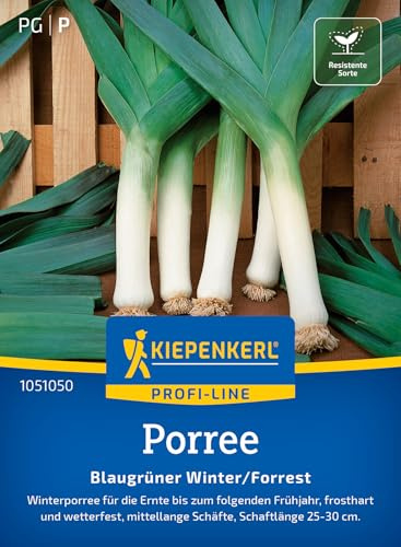 Kiepenkerl Porreesamen Blaugrüner Winter/Forrest 1051050, Gemüsesaat