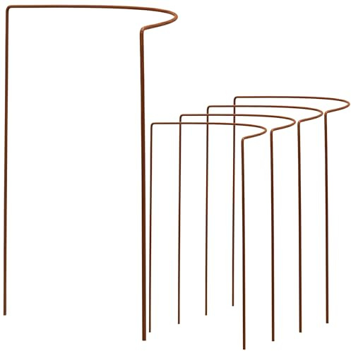 50 STÜCK Pflanzenstütze Staudenstütze halbrund Edelrost - Ø38cm - 100cm hoch aus 5mm unbehandeltem Stahldraht - Rost Roheisen Buschstütze Staudenstütze Pflanzbogen Staudenhalter Rankhilfe Pflanzenring