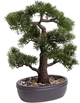 künstlicher Bonsai in brauner ovaler Keramikschale (45 cm, Ceder)