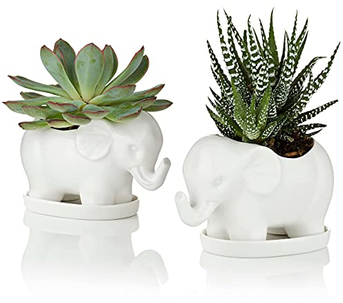 Blumentöpfe für Sukkulenten, Keramik, Elefant, mit Untersetzern, 13,2 x 7,6 x 6,3 cm, 2 Stück