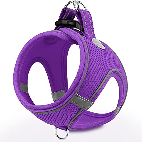 Joytale Hundegeschirr Kleine Hunde, Reflektierend Weich Gepolstert Geschirr, Air-Mesh Brustgeschirr Hund klein, S, Lila