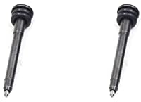 Ersatz-Stiftspitze für pneumatischen Druckluft-Gravierstift von Air Scribe (2 Spitzen)