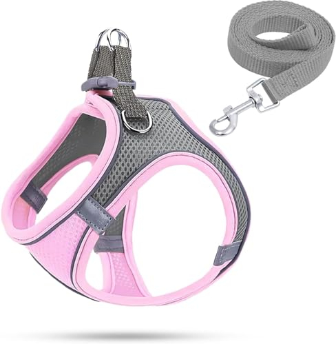 Hundegeschirr Kleine Hunde,Welpengeschirr Katzengeschirr Hunde Geschirr Leuchtend mit Leine,Curli Hundegeschirr Geschirr Hund Welpen Zubehör(Rosa,XXS)
