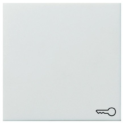Gira 0287112 Wippe Symbol Schlüssel Flächenschalter, reinweiß