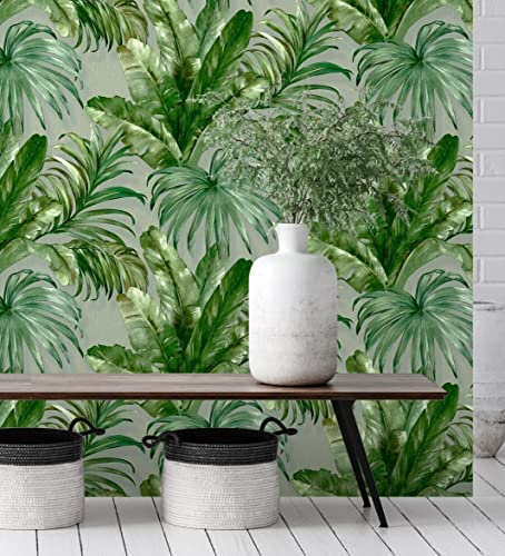 GAULAN 676368 Papier peint vinyle tropical lessivable feuille plantes à l'huile texturé 3D vert gris pour mur salon cuisine bain chambre meuble salle - Rouleaux de 10 m x 1,06 m