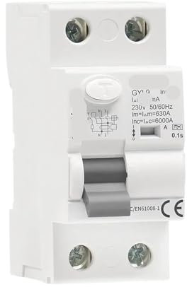 FJSAYDYW Disjoncteur de Courant Alternatif Bipolaire 40A 63A 30mA 100mA 300mA(2P 63A,100mA)