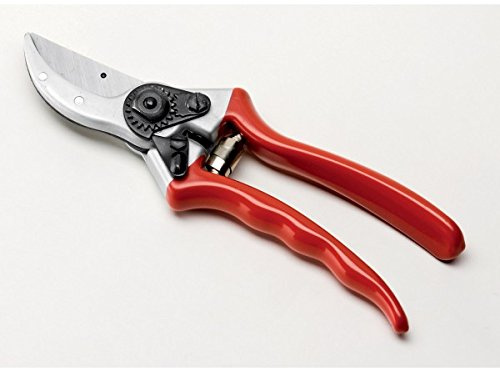 Ausonia - Forbice vigna professionale cm 21