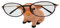 TANG SONG Kreative Natürliche Harz Brillen Halter Handgemachte Nase Piggy Stand für Büro Schreibtisch Home Decor Geschenke
