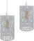 DC VOLTAGE Industrial Easy Fit Metal Cage Drum Lampshade Ceiling Pendant Lampshade with Reducer Plate for Living Rooms Bedroom Kitchen Dining Room (2 Pack White B6)