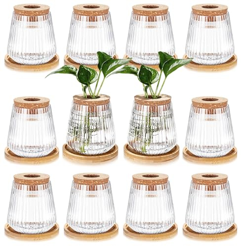 Baderke 12 Pack Propagation Vases for Plants, Vertical Grain Style