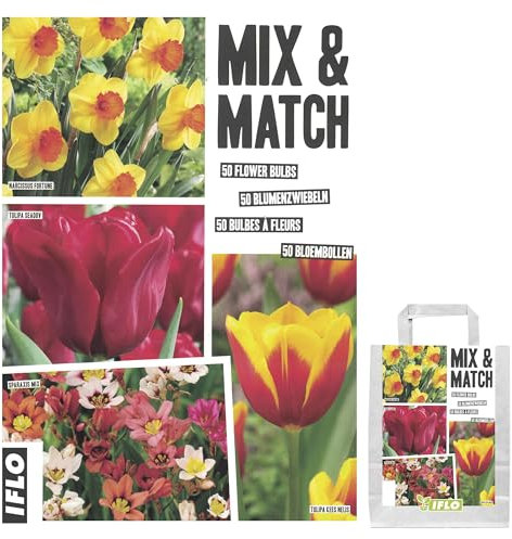 Blumenzwiebeln in Geschenkverpackung - Zwiebeln, Knollen verschiedener winterharter Pflanzen für Garten und Balkon - bunt, mehrjährig, für Topf und Beet (Mix & Match Rot-Orange 50St.)