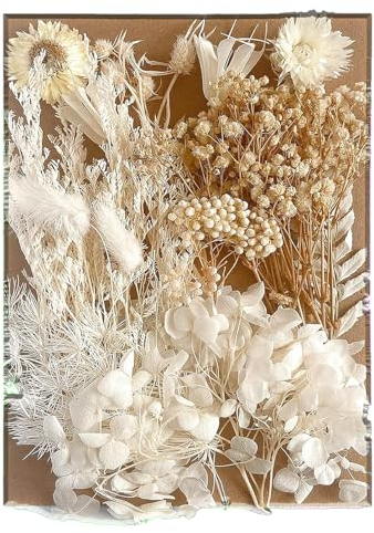 Flores Secas Naturales y Preservadas - Hojas Secas Mixtas para Manualidades y DIY en Resina (Blanco)