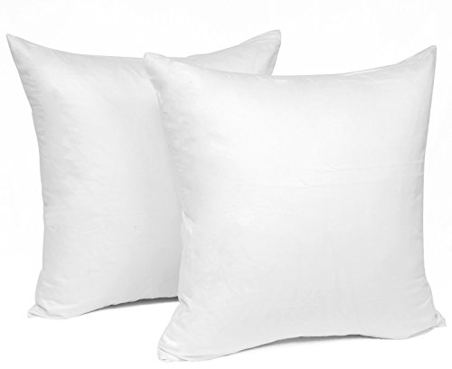 WOLTU 2er Set Kissenbezug 50x50 cm Weiß 100% Baumwolle, Nur Kissenbezug - Kissenbezüge Kopfkissenbezug mit Reissverschluss, Weicher Sofakissenbezug, Doppelpack Dekokissenbezug