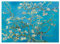 Bluebird puzzle Vincent Van Gogh - Mandelblüte 1000 Stück