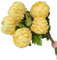 Gladiolus garden Künstliche runde Ananas-Chrysanthemen-Zweige mit grünen Blättern, künstlicher großer Callistephus Chinensis für Blumenarrangement, Gelb, 5 Stück