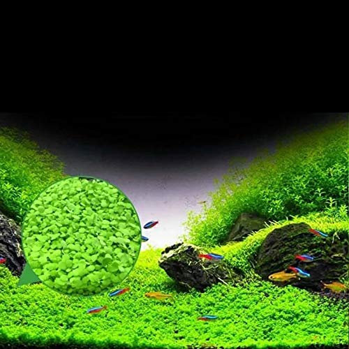 Wasserpflanzen Aquarium Pflanzen Wasserlinsen Aquarium-Samen FüR Lebende Fische Moos Farn Aquarium-Pflanze Dekoration Ornament Wasserlinsen Kaufen Aquarium Pflanzen 50 StüCke