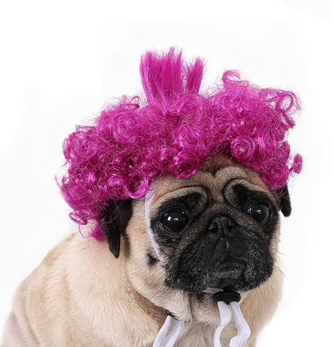 FSDWSIGF Lustige Cosplay-Perücke für Hunde und Katzen, verstellbare Kopfbedeckung, Haustierkostüme, Katzenverkleidungen, Dekorationen für Halloween, Weihnachten, Partys, Festivals, Hunde und Katzen