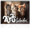 Cats Kalender 2025, katzenkalender 2025 wandkalender, Kreativer Kalender, Katzen-Hängekalender, Monatliches Format, Geschenk for Katzenliebhaber (Schwarz)